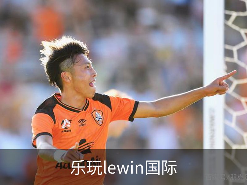 了解乐玩lewin国际