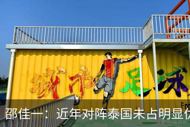 邵佳一：近年对阵泰国未占明显优势 国家队无友谊赛